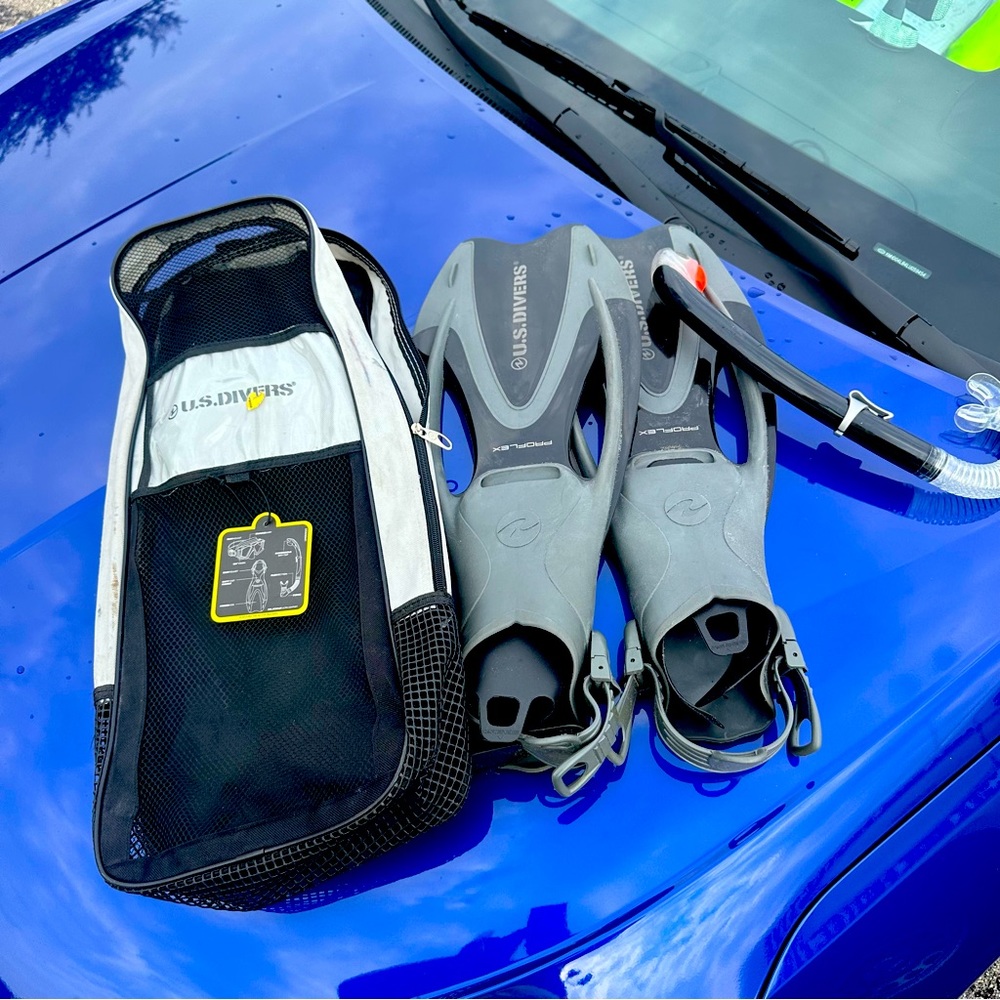 Snorkel and fins